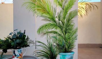 🖌️ “Del tablero al biombo“